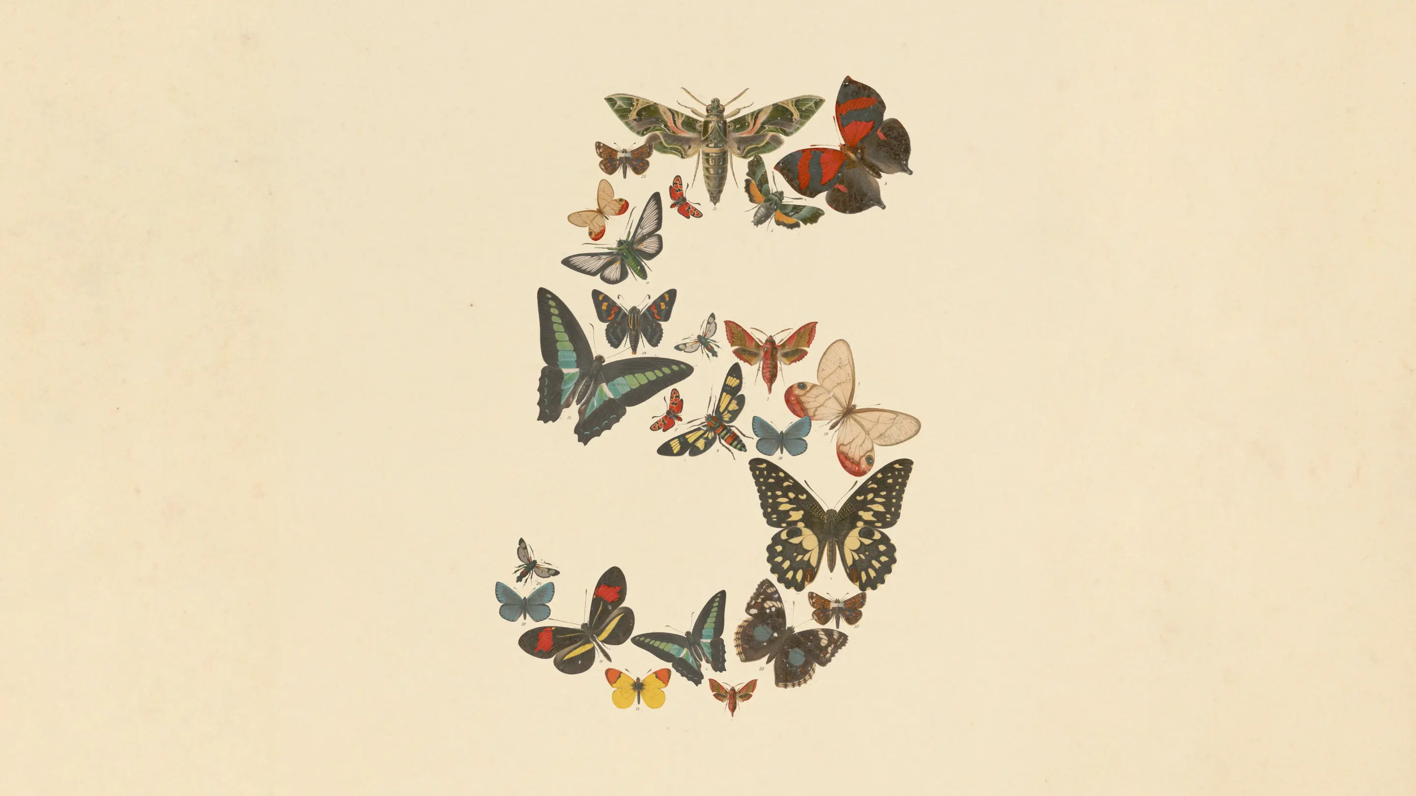 Claude Fable 5 and Mythos 5: what Anthropic's most capable model means for your business