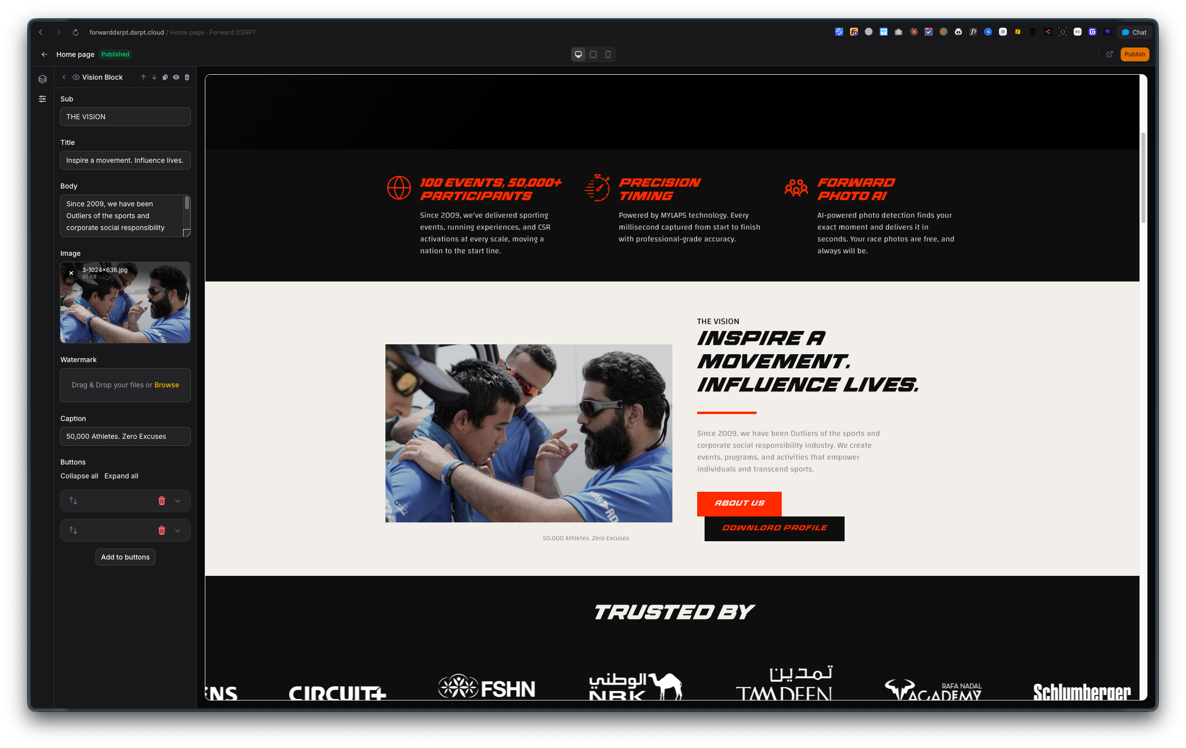 The old DSRPT CMS edit screen, showing plain text fields and a rich text box with no preview of the page